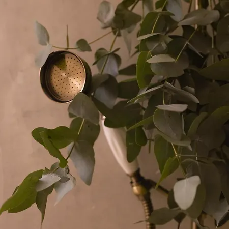 Appartamento Elegance And Parisian Charm Tuileries *
