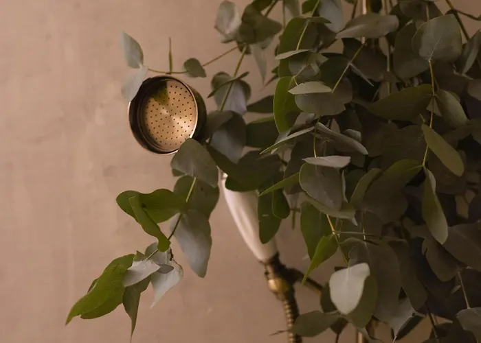 Apartment Elegance And Parisian Charm Tuileries *